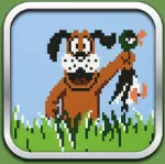 Duck Hunt